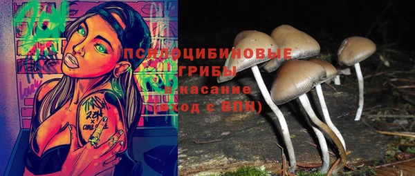 амф Балахна