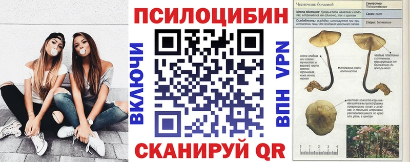 Купить где  Гурьевск  Галлюциногенные грибы мухоморы 